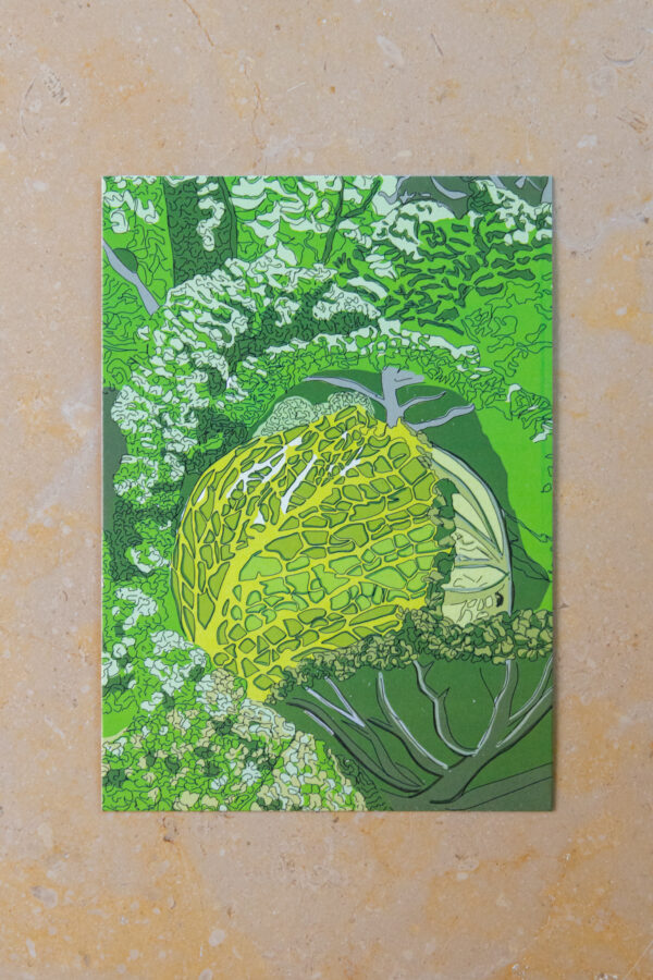 Carte Postale Légumes Chou
